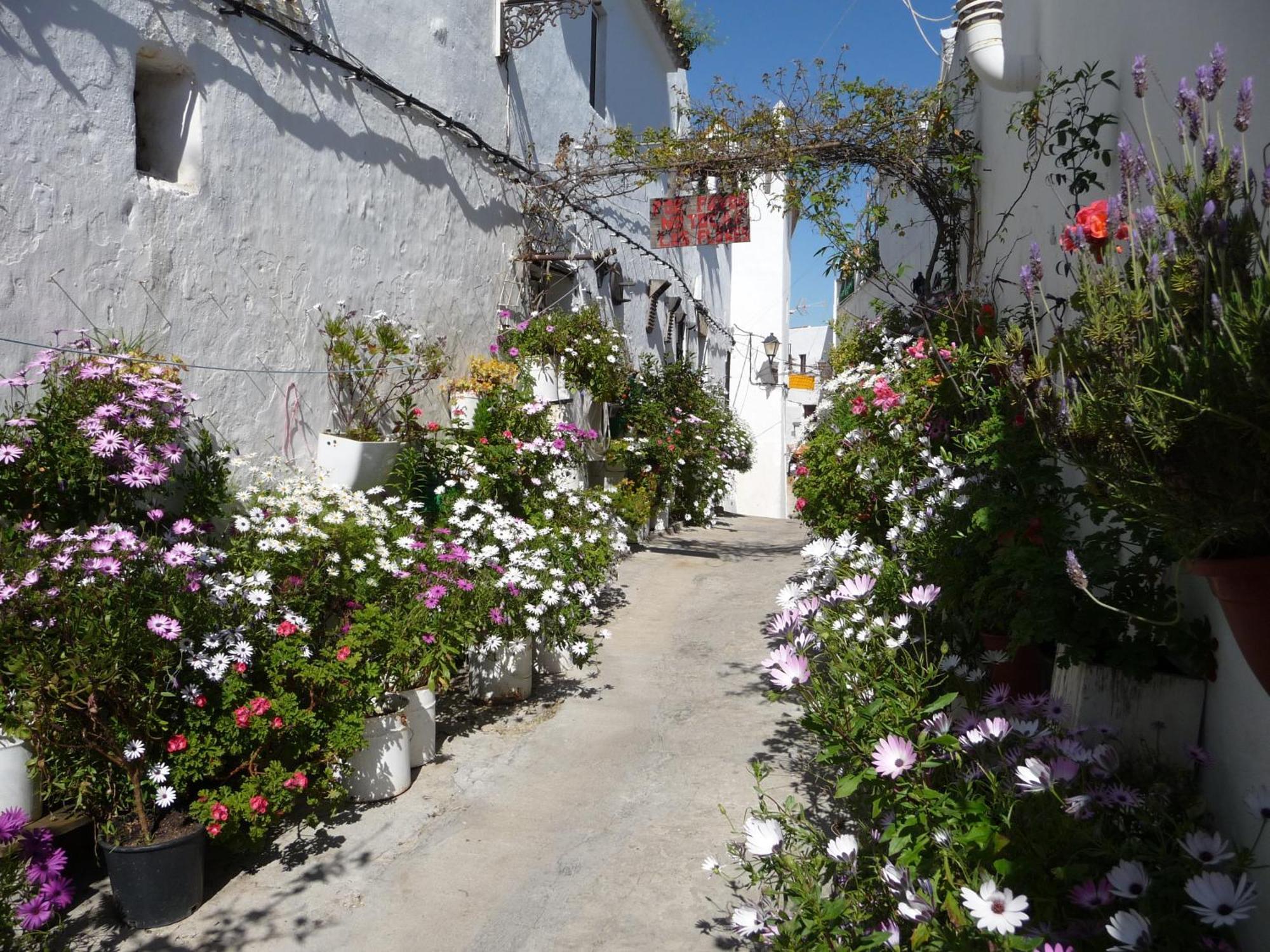 Vivienda Turistica De Alojamiento Rural Silla Vieja مْبيخير ذي لا فرونتيرا المظهر الخارجي الصورة