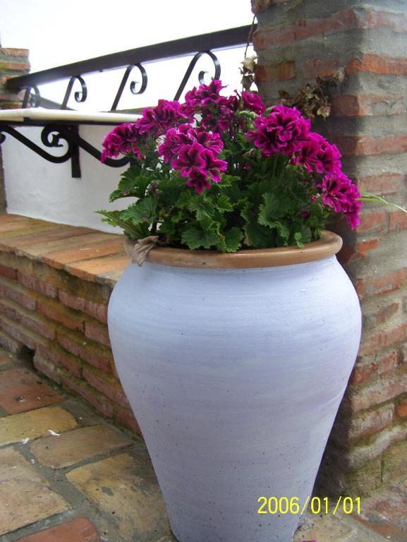 Vivienda Turistica De Alojamiento Rural Silla Vieja مْبيخير ذي لا فرونتيرا المظهر الخارجي الصورة